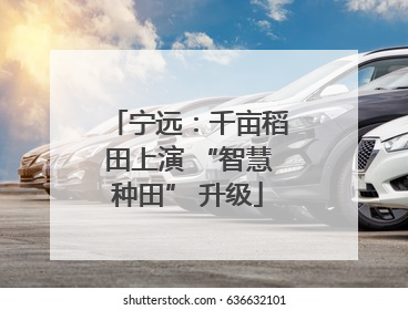 宁远：千亩稻田上演 “智慧种田” 升级