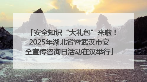 安全知识“大礼包”来啦！2025年湖北省暨武汉市安全宣传咨询日活动在汉举行