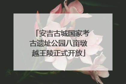 安吉古城国家考古遗址公园八亩墩越王陵正式开放