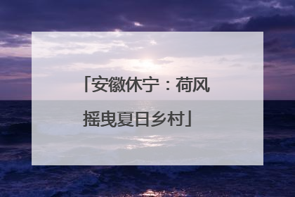 安徽休宁：荷风摇曳夏日乡村