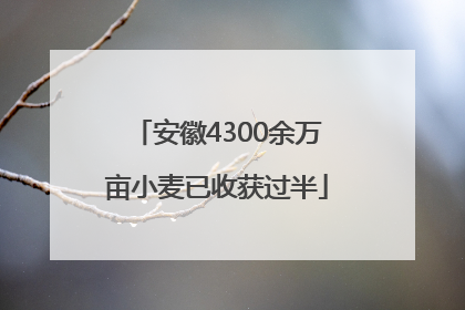 安徽4300余万亩小麦已收获过半