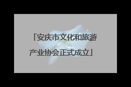 安庆市文化和旅游产业协会正式成立