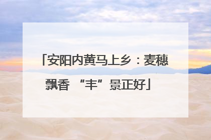 安阳内黄马上乡：麦穗飘香 “丰”景正好
