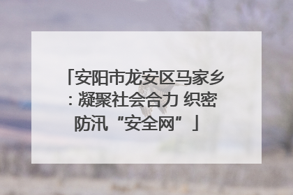 安阳市龙安区马家乡：凝聚社会合力 织密防汛“安全网”