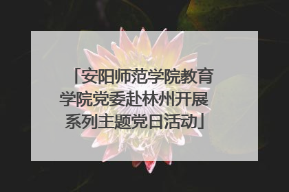 安阳师范学院教育学院党委赴林州开展系列主题党日活动