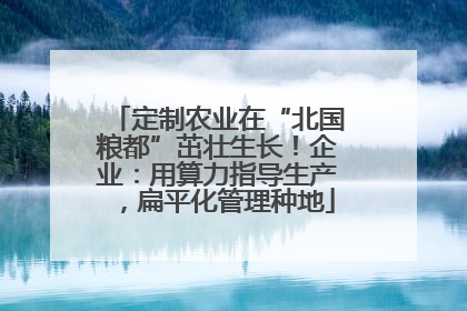 定制农业在“北国粮都”茁壮生长！企业：用算力指导生产，扁平化管理种地