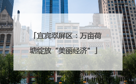 宜宾翠屏区：万亩荷塘绽放“美丽经济”