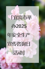 宜宾市举办2025年安全生产宣传咨询日活动