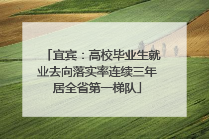 宜宾：高校毕业生就业去向落实率连续三年居全省第一梯队
