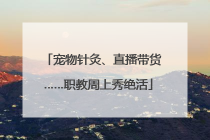宠物针灸、直播带货……职教周上秀绝活