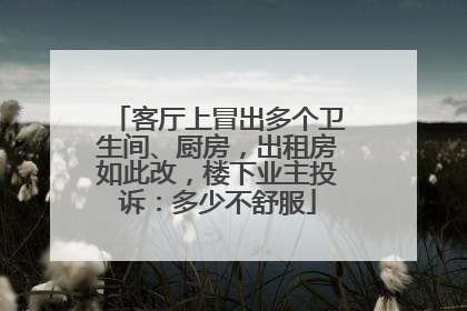 客厅上冒出多个卫生间、厨房，出租房如此改，楼下业主投诉：多少不舒服