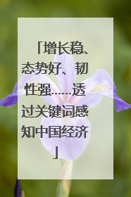 增长稳、态势好、韧性强……透过关键词感知中国经济