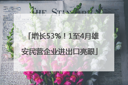 增长53%！1至4月雄安民营企业进出口亮眼
