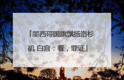 墨西哥国旗飘扬洛杉矶 白宫：看，罪证