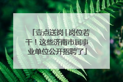 壹点送岗│岗位若干！这些济南市属事业单位公开招聘了