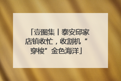 壹图集丨泰安邱家店镇收忙，收割机“穿梭”金色海洋