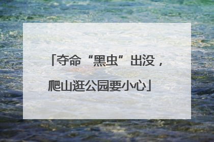 夺命“黑虫”出没，爬山逛公园要小心