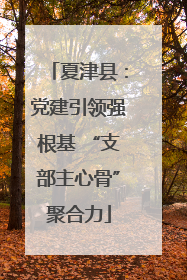 夏津县：党建引领强根基 “支部主心骨”聚合力