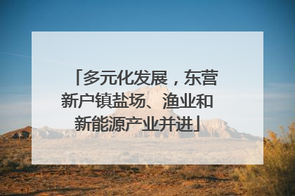 多元化发展，东营新户镇盐场、渔业和新能源产业并进