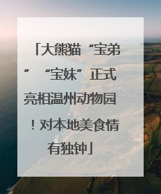 大熊猫“宝弟”“宝妹”正式亮相温州动物园！对本地美食情有独钟