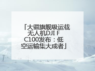 大疆旗舰级运载无人机DJI FC100发布：低空运输集大成者