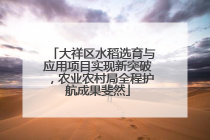 大祥区水稻选育与应用项目实现新突破，农业农村局全程护航成果斐然