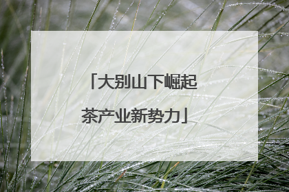 大别山下崛起茶产业新势力