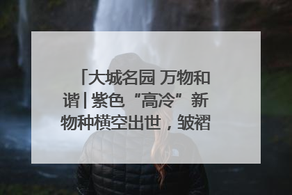 大城名园 万物和谐│紫色“高冷”新物种横空出世，皱褶叶片暗藏进化密码