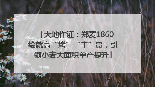大地作证：郑麦1860绘就高“烤”“丰”景，引领小麦大面积单产提升