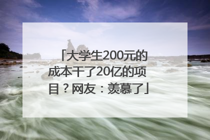 大学生200元的成本干了20亿的项目？网友：羡慕了
