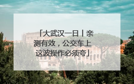 大武汉一日丨亲测有效，公交车上这波操作必须夸