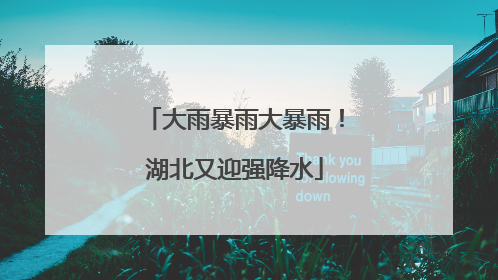 大雨暴雨大暴雨！湖北又迎强降水