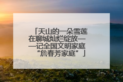天山的一朵雪莲在聊城灿烂绽放——记全国文明家庭“詹春芳家庭”