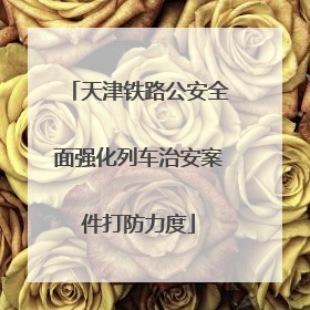 天津铁路公安全面强化列车治安案件打防力度