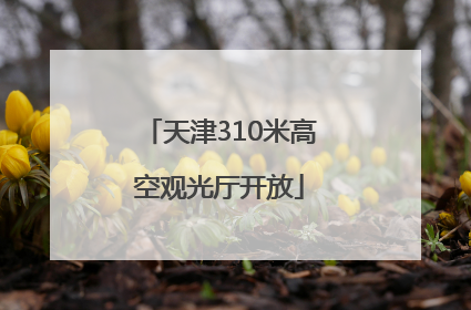 天津310米高空观光厅开放