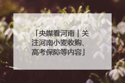 央媒看河南｜关注河南小麦收购、高考保障等内容