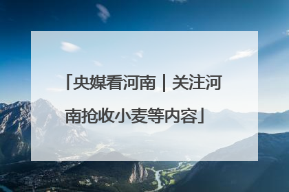 央媒看河南｜关注河南抢收小麦等内容