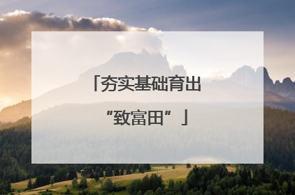 夯实基础育出“致富田”
