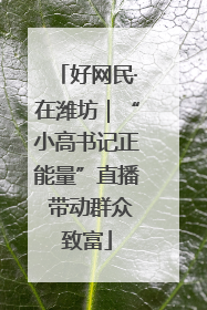 好网民·在潍坊｜“小高书记正能量”直播 带动群众致富