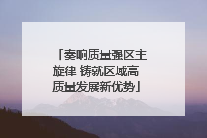 奏响质量强区主旋律 铸就区域高质量发展新优势