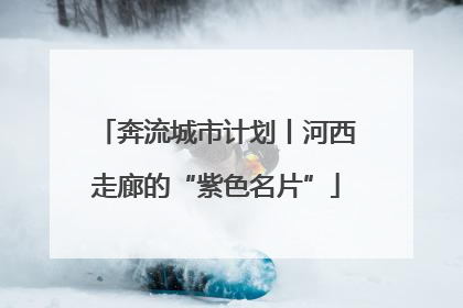 奔流城市计划丨河西走廊的“紫色名片”