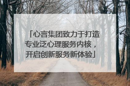 心言集团致力于打造专业泛心理服务内核，开启创新服务新体验