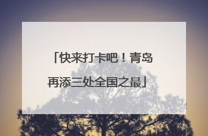 快来打卡吧！青岛再添三处全国之最
