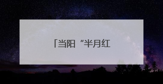当阳“半月红”电商产业园网红市集试营业