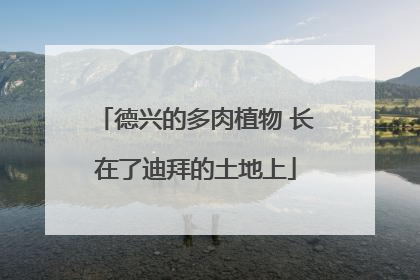 德兴的多肉植物 长在了迪拜的土地上