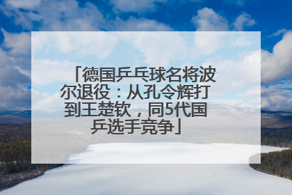 德国乒乓球名将波尔退役：从孔令辉打到王楚钦，同5代国乒选手竞争