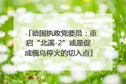德国执政党要员：重启“北溪-2”或是促成俄乌停火的切入点