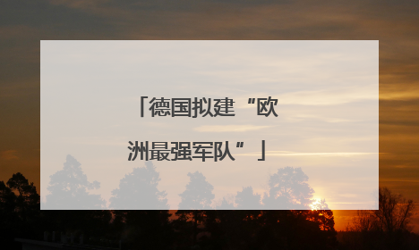 德国拟建“欧洲最强军队”