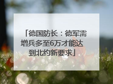 德国防长：德军需增兵多至6万才能达到北约新要求