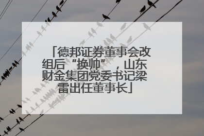 德邦证券董事会改组后“换帅”，山东财金集团党委书记梁雷出任董事长